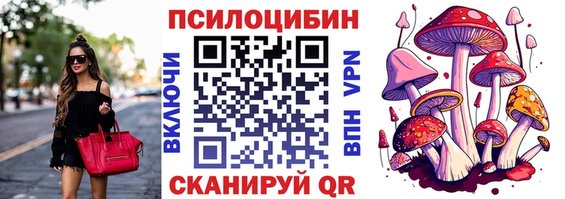 Галлюциногенные грибы Psilocybine cubensis  дарнет шоп  Спасск-Рязанский 